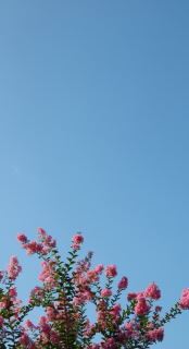 c0160161_7274317.jpg