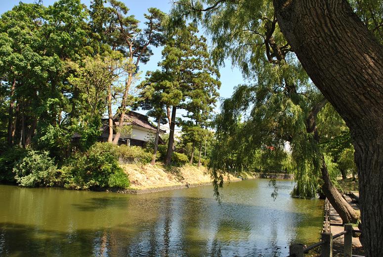 山形県　鶴岡をたずねて～_e0139167_1658180.jpg