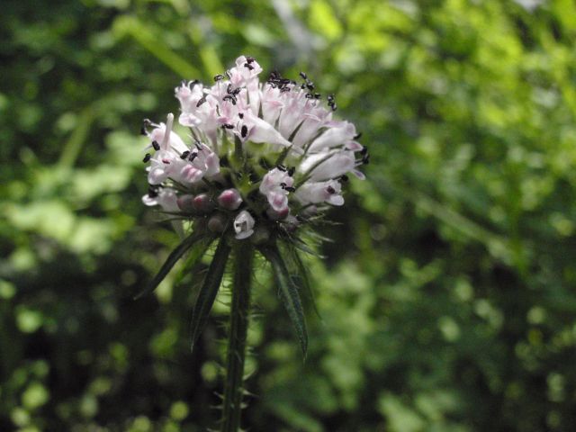 c0042869_94348.jpg