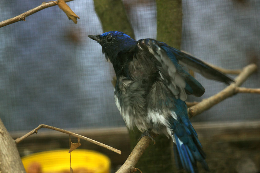 e0153076_0133049.jpg