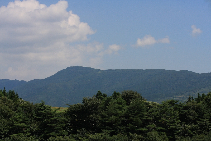 e0024081_20305896.jpg