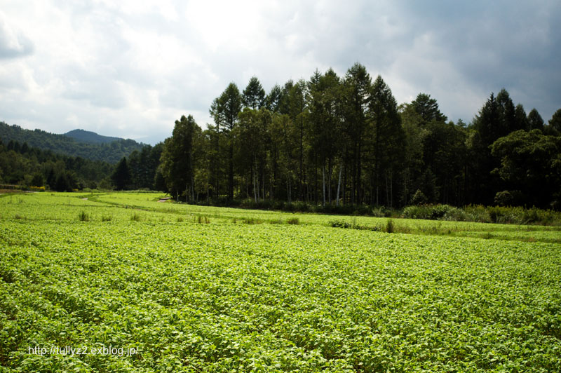 開田高原リターンズ (11)_e0109883_22102154.jpg