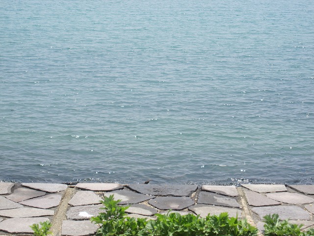 b0182884_03395.jpg