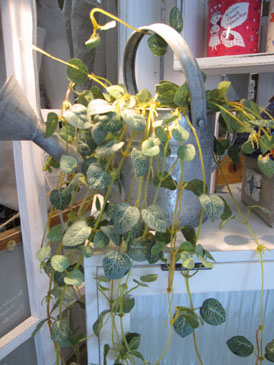 c0146487_13251374.jpg