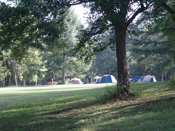 b0005596_80187.jpg