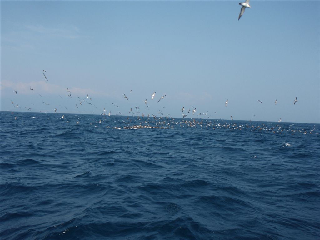 c0177497_20143551.jpg