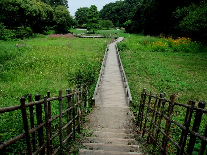 新林公園 2010/08/21_a0114003_2322314.jpg