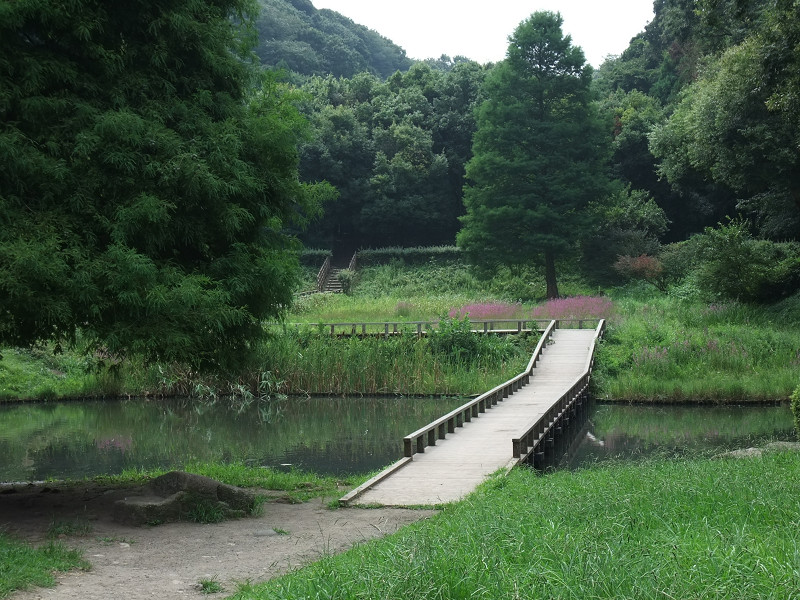 新林公園 2010/08/21_a0114003_233854.jpg