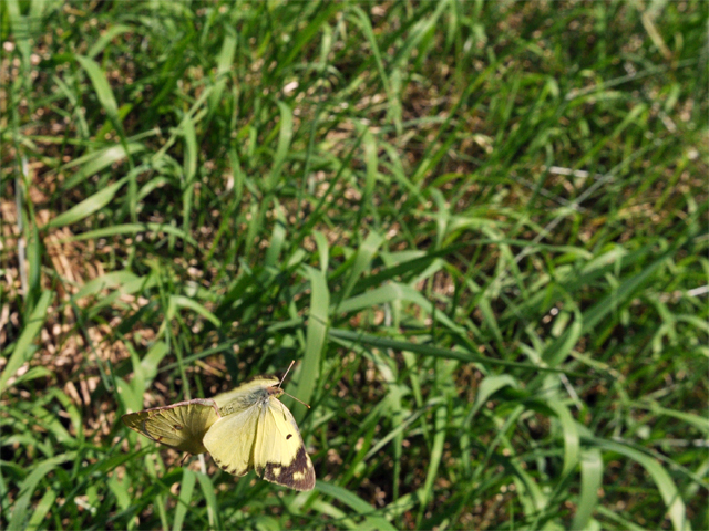 b0159904_04149.jpg