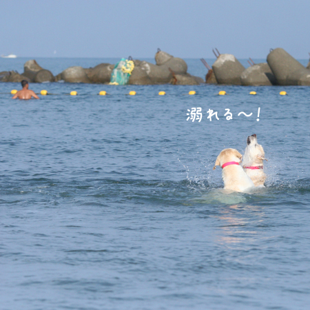 夏旅行１日目　日本海で海水浴@徳光ＰＡ～戸隠蕎麦～オーベルジュ ラ・プーサン(泊)_c0089005_23401841.jpg