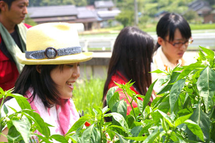 但東町での収穫体験_f0127806_17132484.jpg