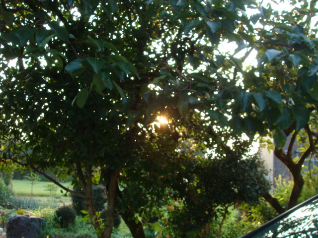e0181908_8234573.jpg