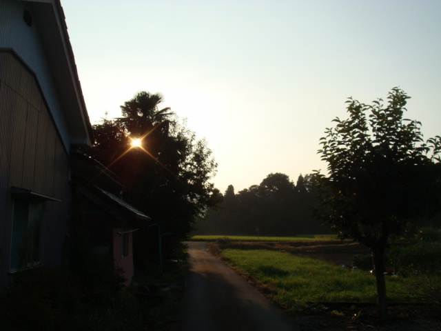 e0181908_824410.jpg