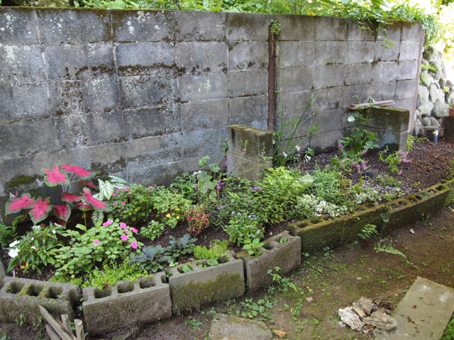 b0177323_13404164.jpg