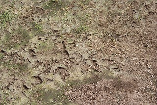 f0170524_14103246.jpg
