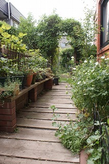 f0170524_1412454.jpg