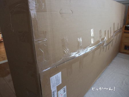IKEAで購入!!念願のNEWソファ~♪_f0023333_22281541.jpg