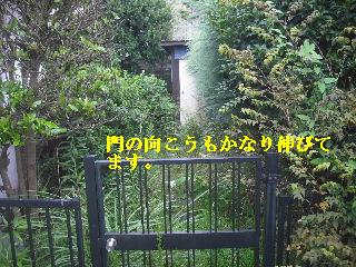 現場確認_f0031037_17593677.jpg