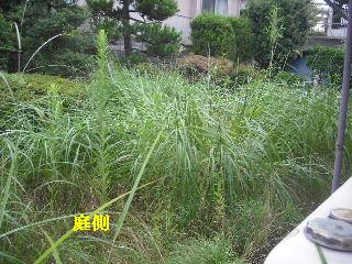 現場確認_f0031037_1759561.jpg