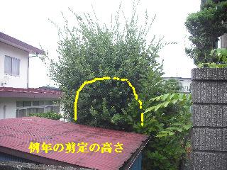 現場確認_f0031037_1759586.jpg