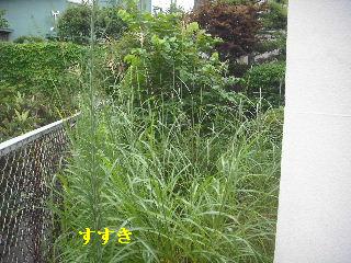 現場確認_f0031037_180127.jpg