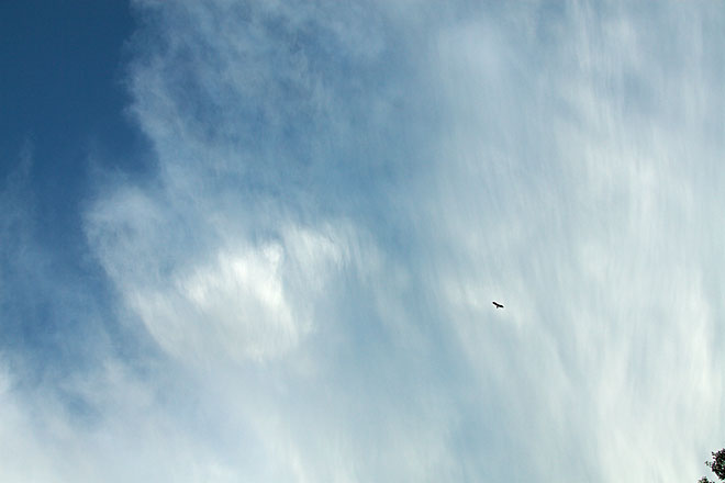 c0067040_2058565.jpg