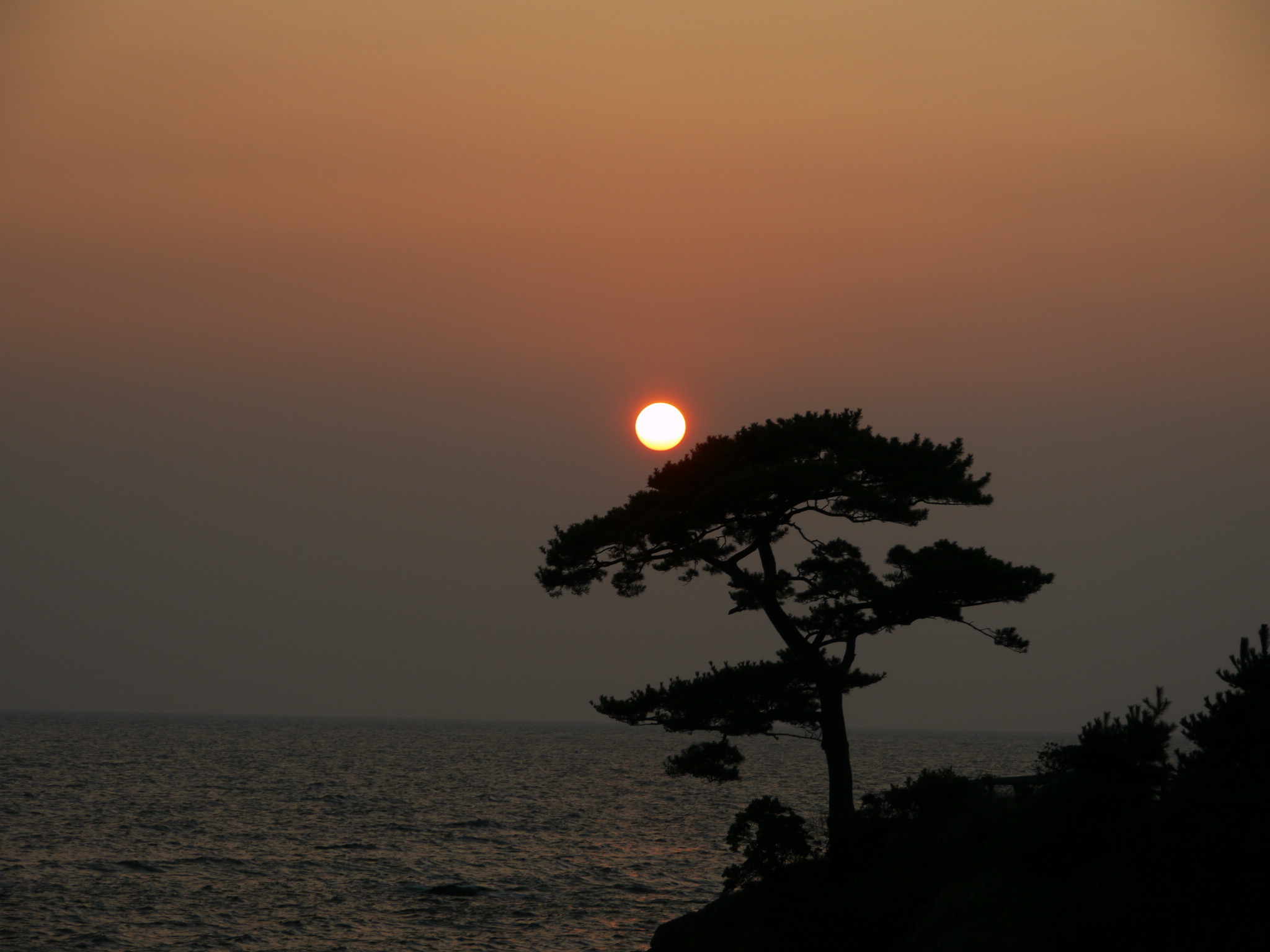 b0190242_26669.jpg