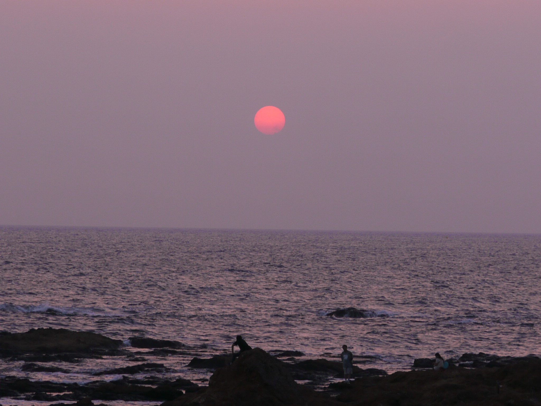 b0190242_281036.jpg