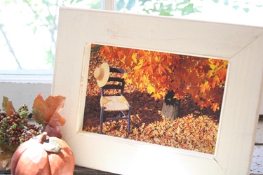 秋の風景のポストカード、届きました_f0161543_13483953.jpg