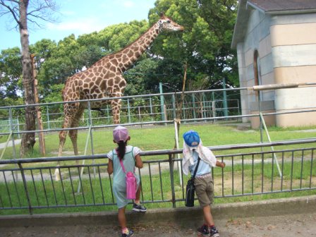 動物園&プール♪_c0103644_9251163.jpg