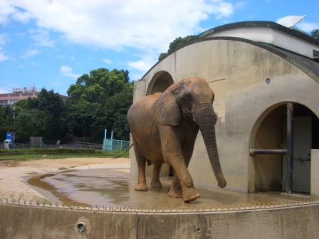 動物園&プール♪_c0103644_9252023.jpg