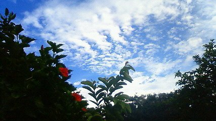 f0229844_045485.jpg