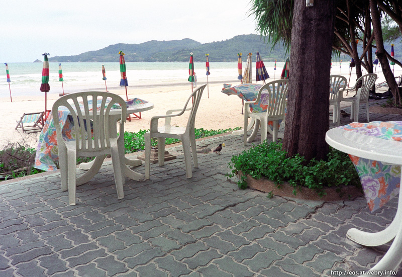 b0198148_1654340.jpg