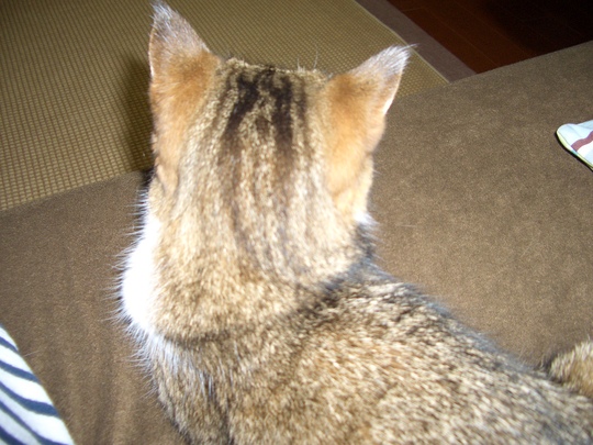 a0130149_2393289.jpg