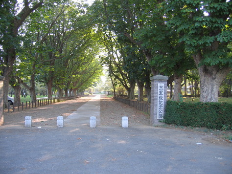 不思議な民家?_a0157159_23322030.jpg