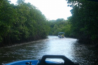 b0075059_17464155.jpg