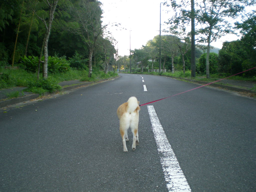 2010年8月27日(金)新米出たよ~!_f0060461_922676.jpg