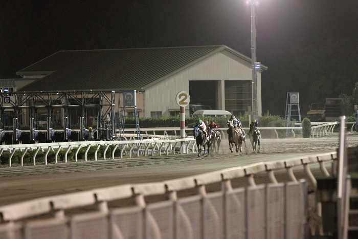 2010年8月27日（金） 高知競馬 10R 土佐柚子酢特別 A-1 選抜馬_a0077663_22485897.jpg