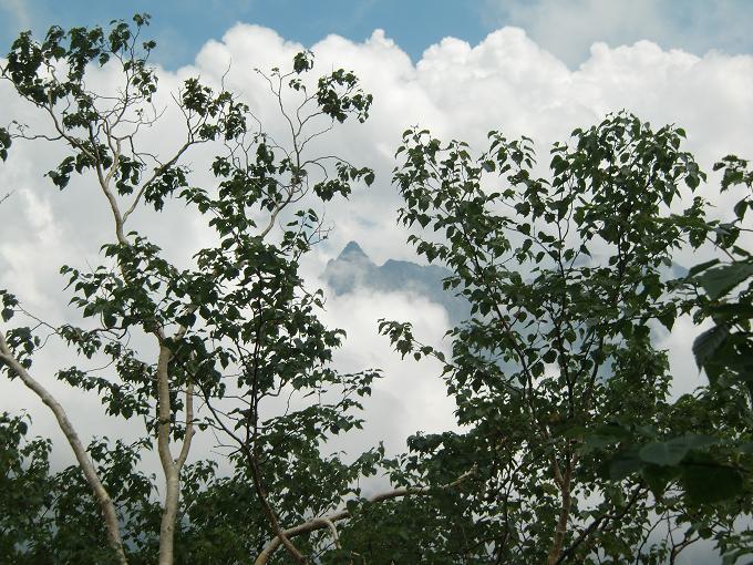 f0016066_2213452.jpg