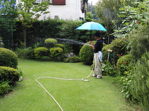 f0208666_11585620.jpg
