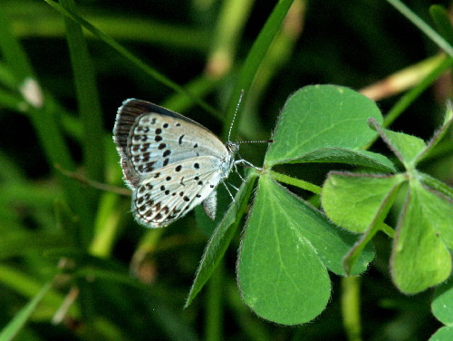 f0208666_1224220.jpg
