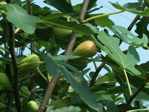 f0208666_1282514.jpg