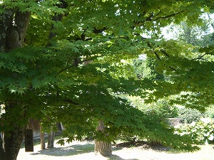 b0056570_22174220.jpg