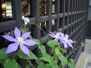 b0056570_23414879.jpg