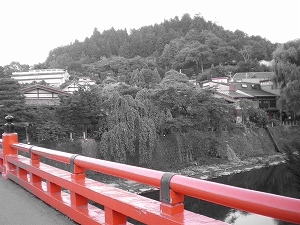 b0056570_23595661.jpg