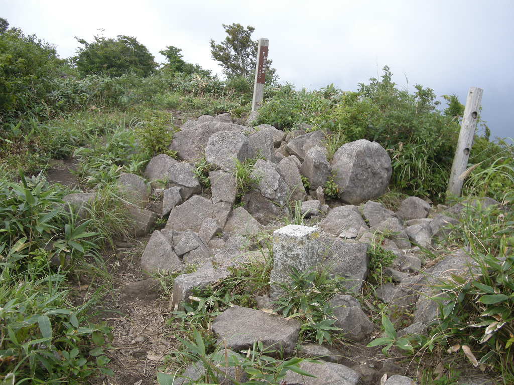 岡山・皆ケ山とおまけの擬宝珠山～象山縦走_b0185573_1329017.jpg