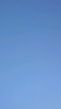 b0134285_036959.jpg