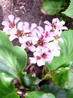 f0169885_62223.jpg