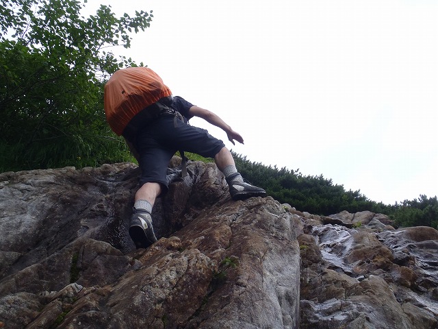 c0147398_22416.jpg
