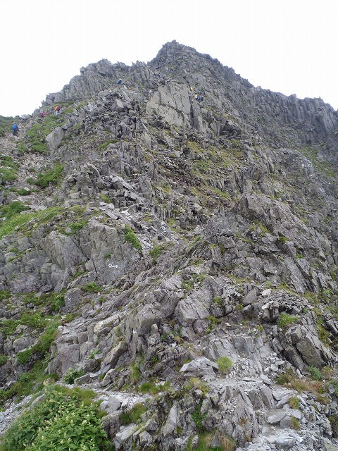 c0147398_2303030.jpg